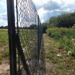 Fragment nowo zamontowanego ogrodzenia z siatki, widok z bliska na słupek i siatkę, w tle łąka i drzewa pod błękitnym niebem z chmurami.