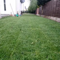 Rozległy trawnik z rolki, świeżo ułożony, widok z niskiej perspektywy, z narzędziami ogrodniczymi opartymi o białą ścianę domu w tle, oraz brązowym ogrodzeniem po prawej stronie.