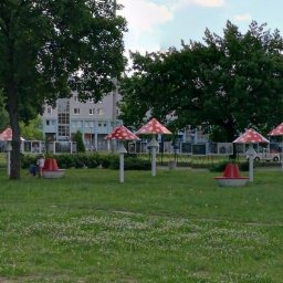 Studio+ - muchomory - Maurycy Gomulicki