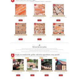 1000 MIAST TOMASZ WILKOSZ - Budowa sklepu internetowego BRICKY | Prestashop