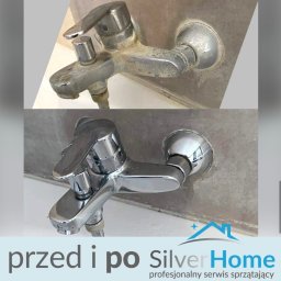 Sprzątanie biur Mierzyn 4