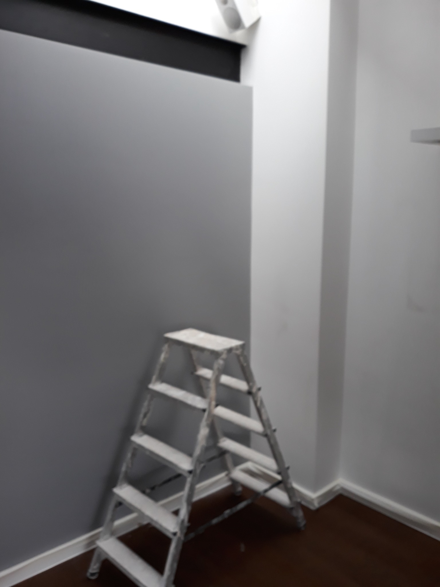 Świeżo pomalowana szara ściana w rogu pomieszczenia z białą drabiną przystawioną do ściany, widoczna podłoga z ciemnego drewna i białe listwy przypodłogowe.