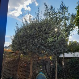 Malowanie mieszkań Białystok 2