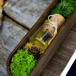 Pamięć USB w szklanej buteleczce z korkiem, ozdobiona sznurkiem, umieszczona w drewnianym pudełku wypełnionym mchem i szyszką, obok widoczne fragmenty zdjęć.