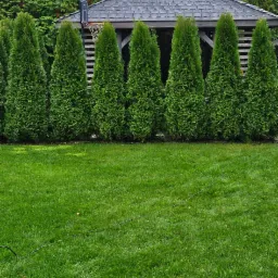 Uporządkowany ogród z równo przyciętym trawnikiem, żywopłotem z tuj i altaną z szarym dachem w tle.