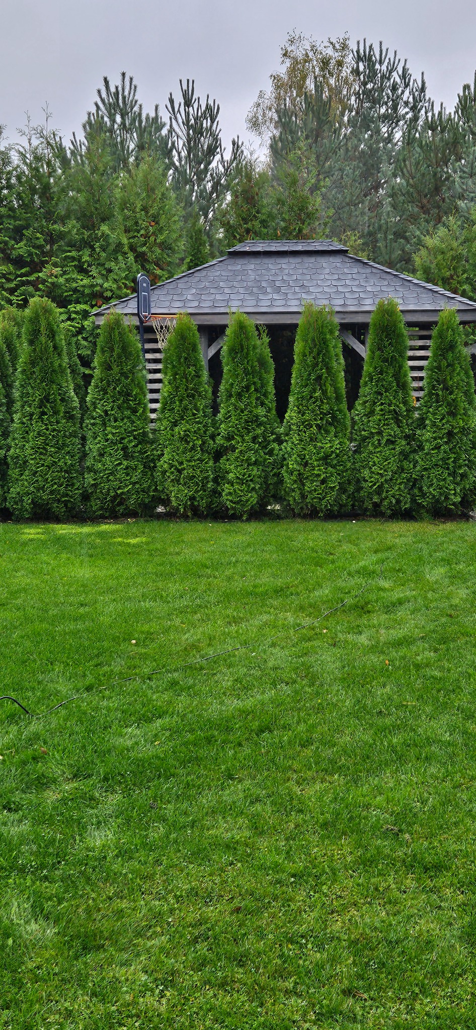 Uporządkowany ogród z równo przyciętym trawnikiem, żywopłotem z tuj i altaną z szarym dachem w tle.