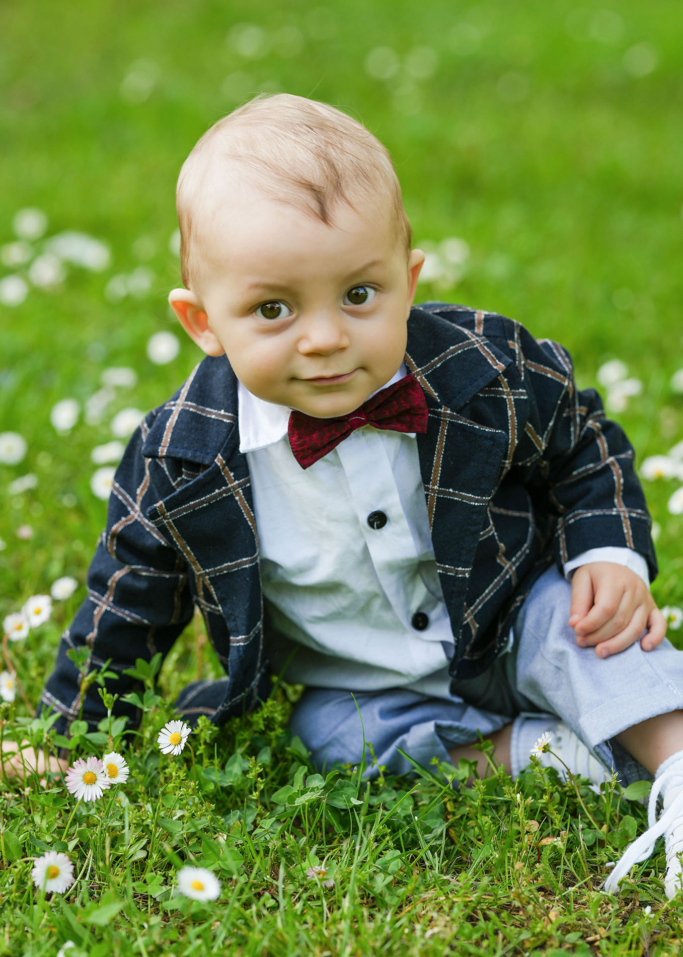 Uroczy chłopiec w eleganckim ubranku, marynarce w kratę i bordowej muszce, siedzi na trawie z białymi stokrotkami, patrząc w obiektyw.