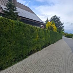 Sebastian Nowak - Znakomite Prace Ogrodnicze Słupca