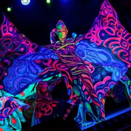 Fotograf ślubny Kraków 1