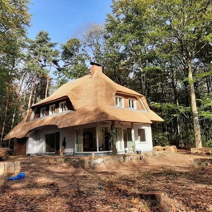 Dom z charakterystycznym, grubym dachem krytym strzechą, otoczony lasem liściastym, widoczne okna dachowe i elementy drewniane na elewacji.