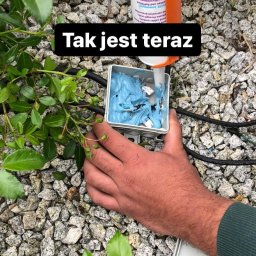 ELECTRO CEL Instalacje elektryczne - Wypełnianie puszki elektrycznej masą uszczelniającą Anticor w ogrodzie, widoczny kabel, kamienie i fragment rośliny
