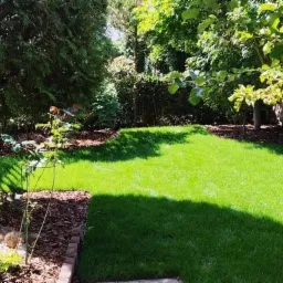 Świeżo założony trawnik z rolki w przydomowym ogrodzie, obrzeża z kory i kamieni, w tle drewniany płot i drzewa.