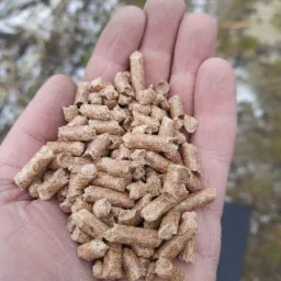 Otwarta dłoń wypełniona jasnobrązowymi, cylindrycznymi granulkami na rozmytym tle z resztkami śniegu.