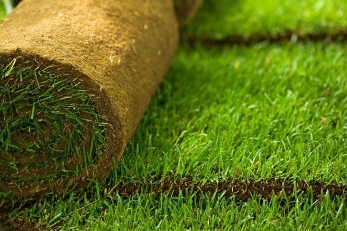 Zwinięta rolka trawy obok ułożonego fragmentu trawnika, widoczne ciemne linie łączeń darni.