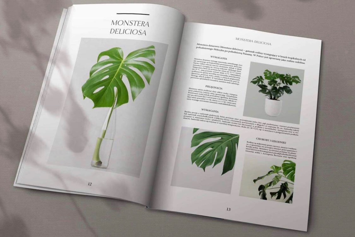 Otwarta książka z ilustracjami i opisem rośliny Monstera Deliciosa; na lewej stronie duży liść w szklanym wazonie, na prawej stronie tekst i zdjęcia roślin w doniczkach.