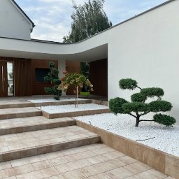 EKO-BUD Rafał Walczak - Nowoczesny ogród frontowy z kostki brukowej, białych kamieni i formowanych drzewek. Minimalistyczny design domu z drewnianą fasadą i jasną elewacją. Ścieżka z kostki.