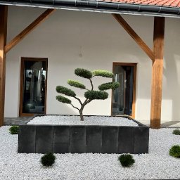 EKO-BUD Rafał Walczak - Nowoczesny ogród: formowane drzewko w czarnej donicy, białe kamienie, niskie krzewy, oświetlenie. Drewniane podpory dachu dodają rustykalnego charakteru.
