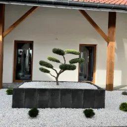 Nowoczesny ogród: formowane drzewko w czarnej donicy, białe kamienie, niskie krzewy, oświetlenie. Drewniane podpory dachu dodają rustykalnego charakteru.