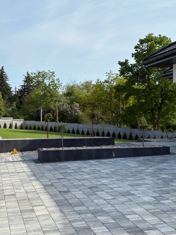 Nowoczesny taras z szarej kostki brukowej, minimalistyczne donice z zielenią, tło z trawnika i żywopłotu z tuj. Jasne niebo, słoneczny dzień.