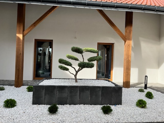 Nowoczesny ogród: formowane drzewko w czarnej donicy, białe kamienie, niskie krzewy, oświetlenie. Drewniane podpory dachu dodają rustykalnego charakteru.