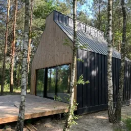 Nowoczesny dom o czarnej, metalowej elewacji i drewnianym wykończeniu, otoczony brzozowym lasem. Widoczny taras z surowego drewna i duże przesuwne okna.