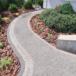 Przycinanie drzew Poznań 1