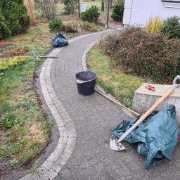 Przycinanie drzew Poznań 4