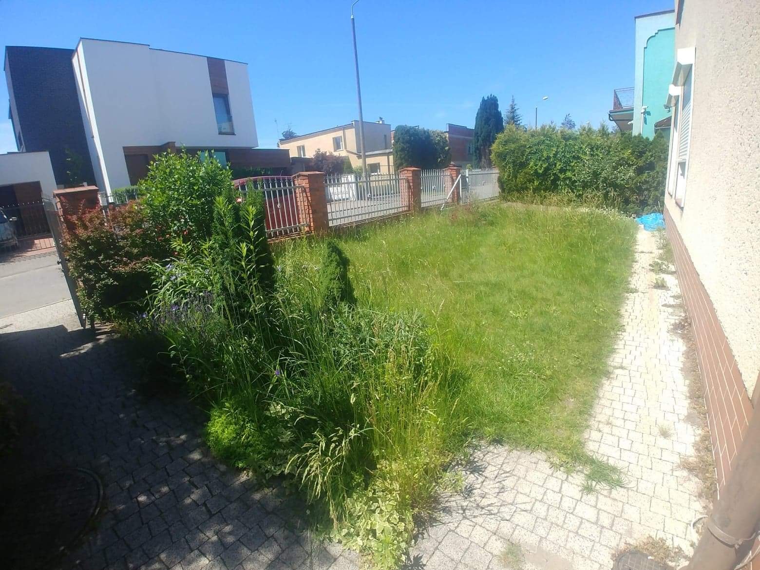 Zarośnięty trawnik przed domem z wysoką trawą i chwastami, widok z poziomu chodnika z kostki brukowej, w tle nowoczesny budynek mieszkalny i ogrodzenie.