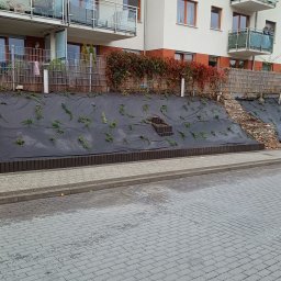 Pielęgnacja ogrodów Gdynia 5