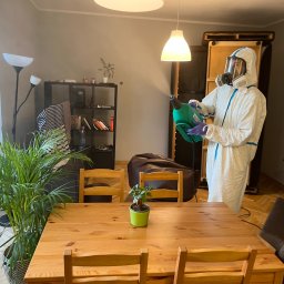 Dezynsekcja i deratyzacja Warszawa 3