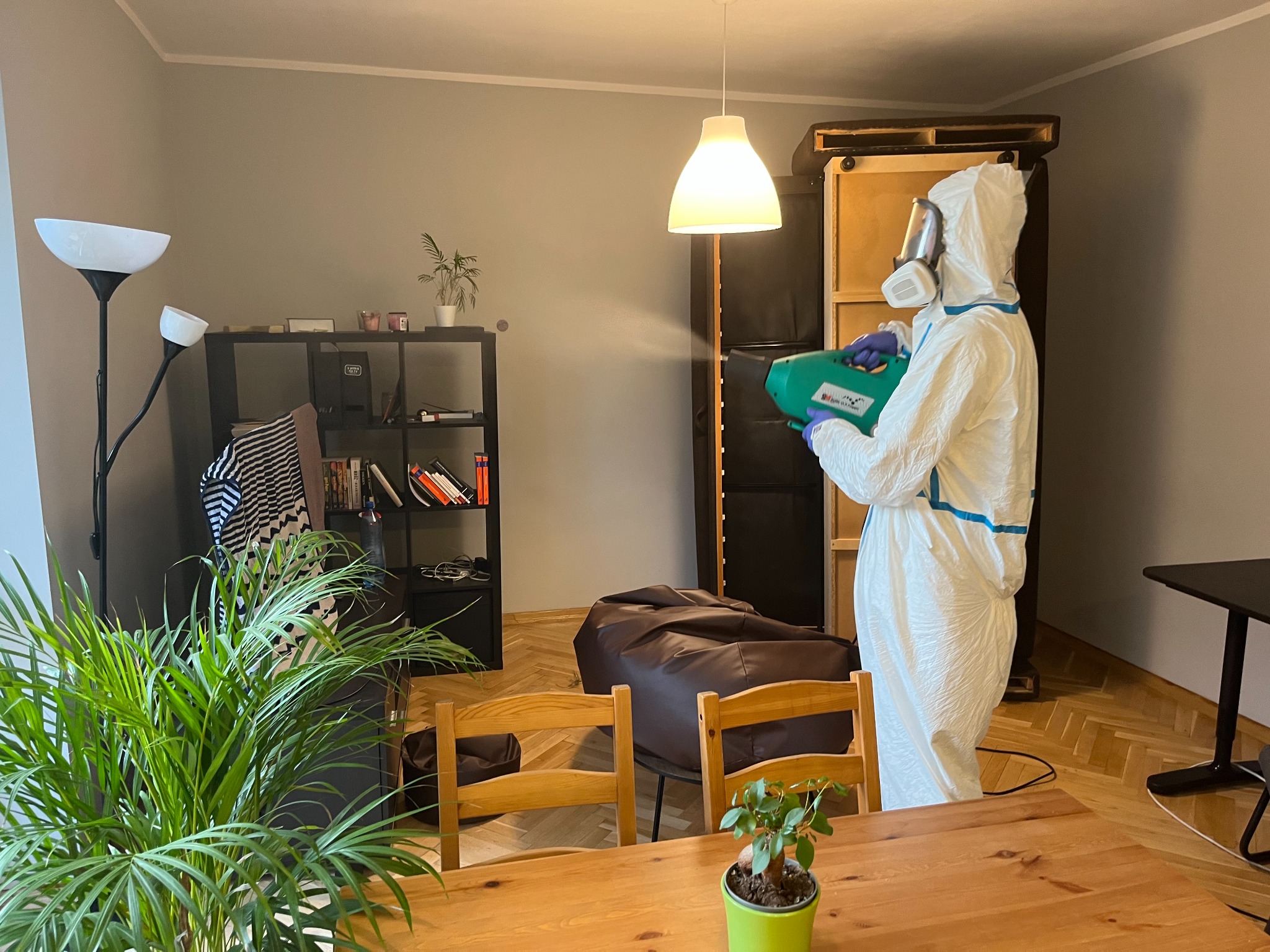 Osoba w kombinezonie ochronnym i masce rozpyla środek dezynfekujący przy pomocy zielonego opryskiwacza w umeblowanym salonie z parkietem.