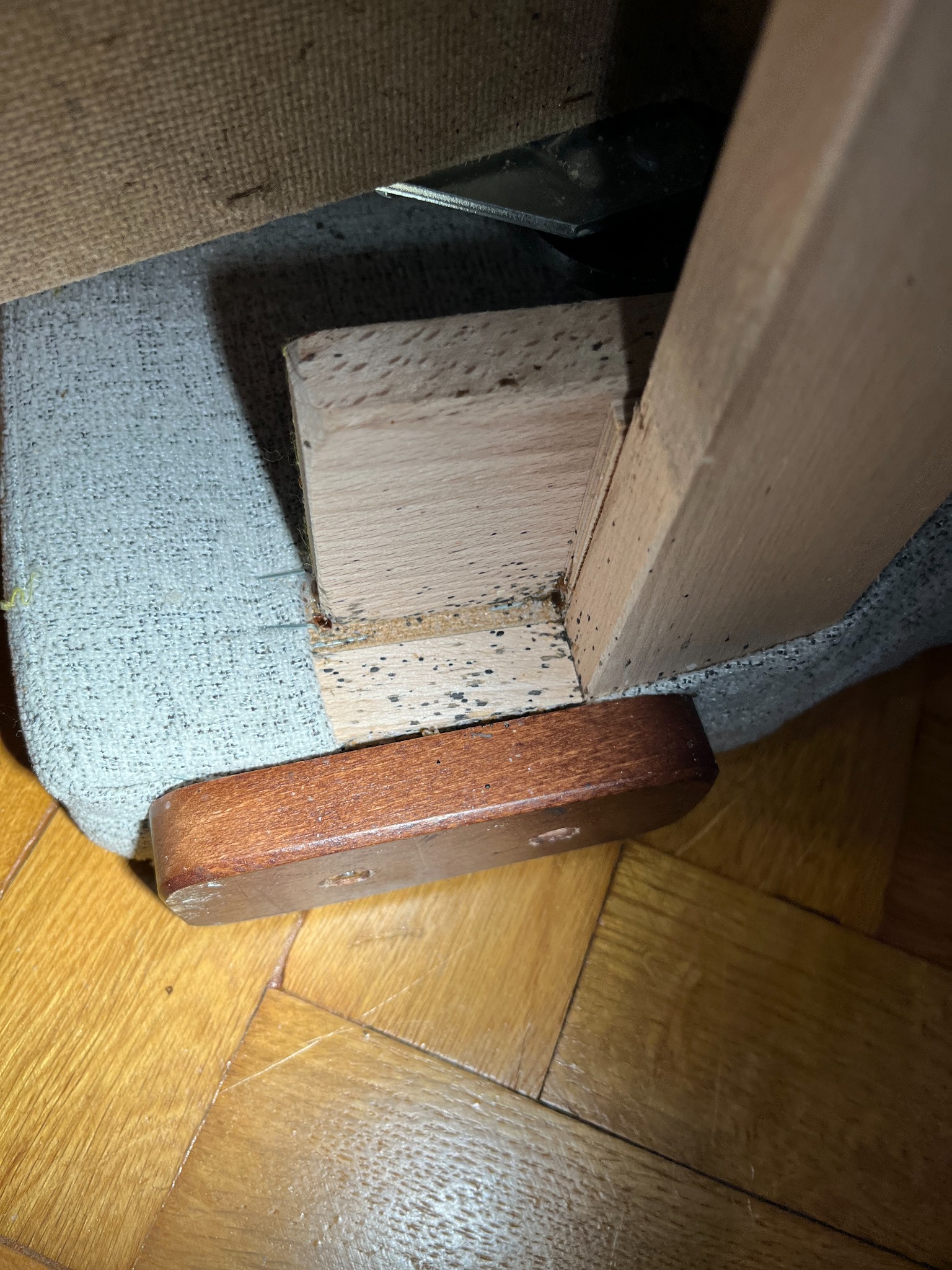 Bliski widok narożnika tapicerowanego mebla, gdzie na drewnianych elementach i tkaninie widoczne są skupiska małych, ciemnych owadów, prawdopodobnie pluskiew.