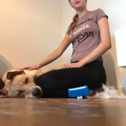 oferuje wyczesywanie zwierzaka