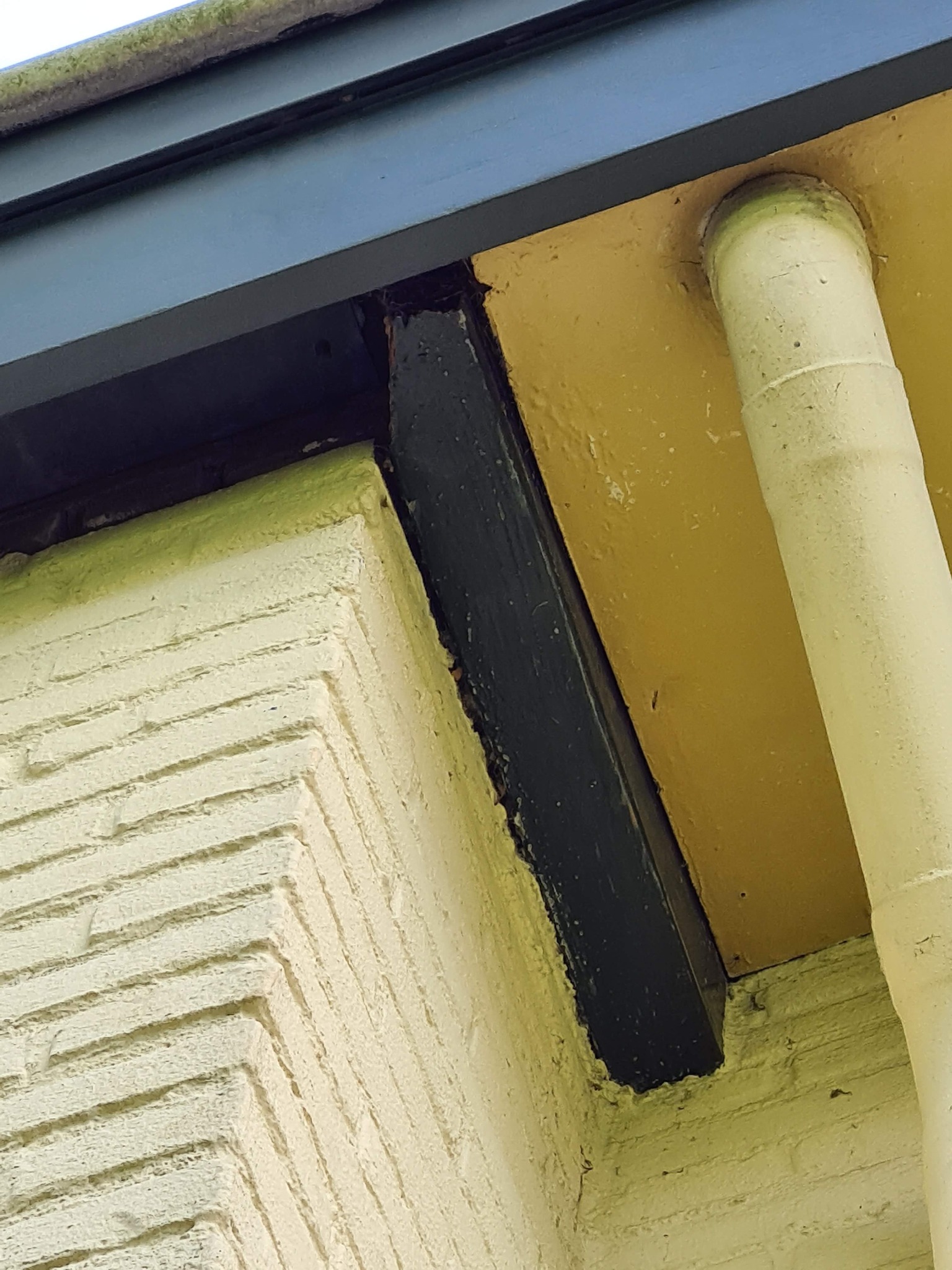 Fragment elewacji budynku z widocznym, świeżo pomalowanym na czarno elementem konstrukcyjnym, rynną i żółtą ścianą pod dachem.