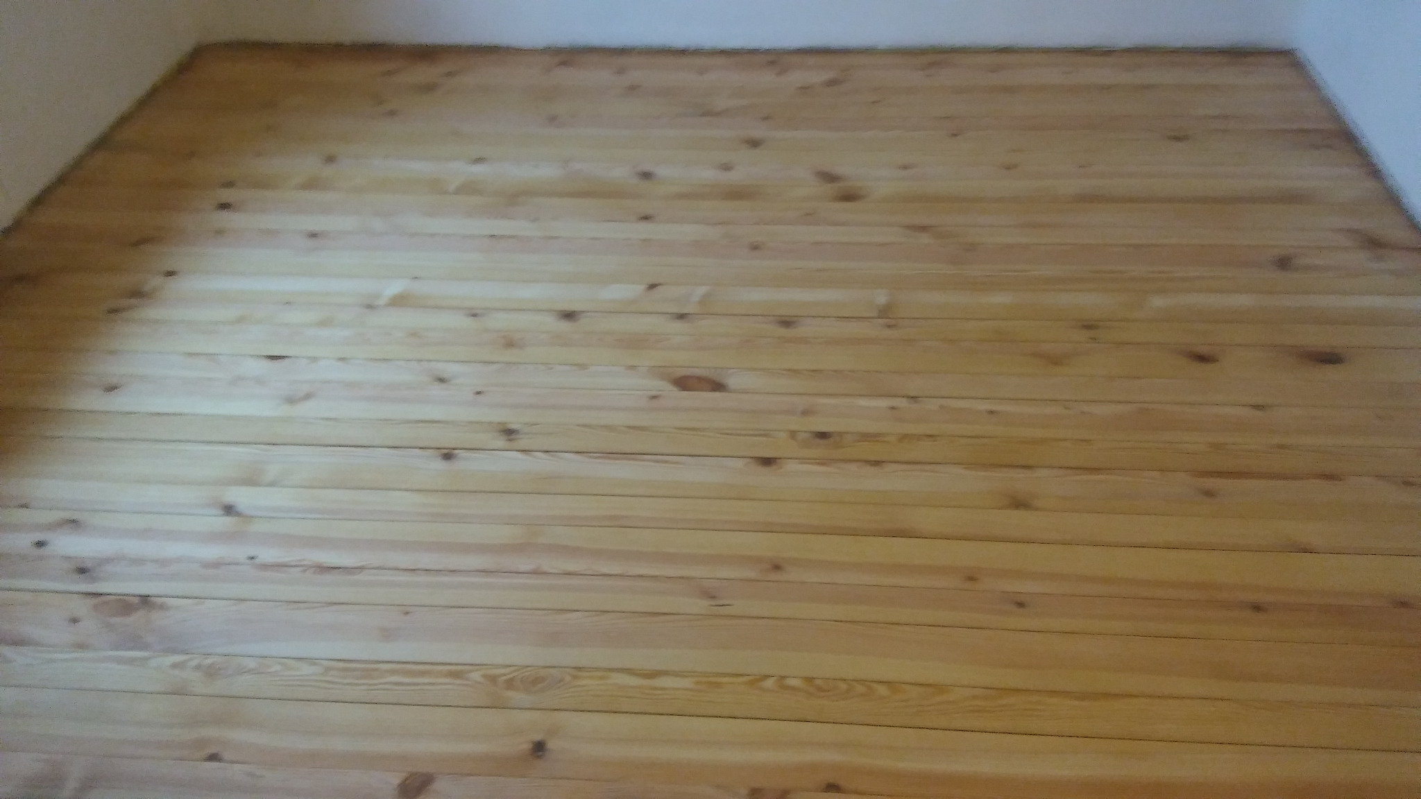 Jasne, drewniane deski podłogowe z widocznymi sękami, ułożone poziomo w pustym pokoju, świeżo po lakierowaniu.