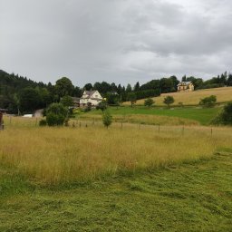 USŁUGI OGRODNICZE - Świeżo skoszona trawa na tle wiejskiego krajobrazu z dwoma domami, drzewami i pochmurnym niebem.