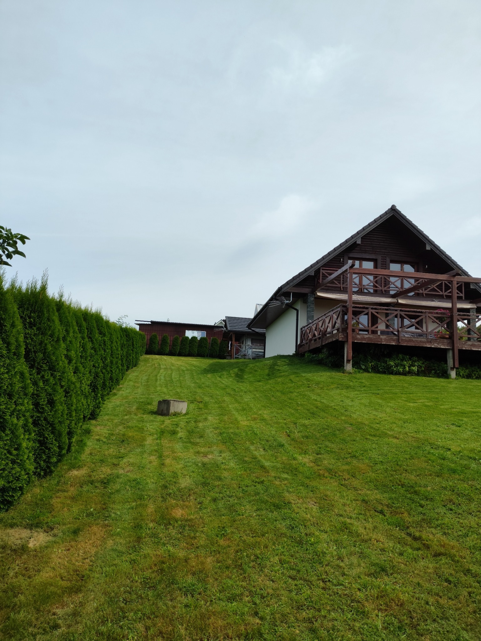 Starannie utrzymany trawnik przed domem z drewnianym balkonem, równo przycięty żywopłot z tui wzdłuż granicy działki, widoczne ślady po koszeniu trawy.