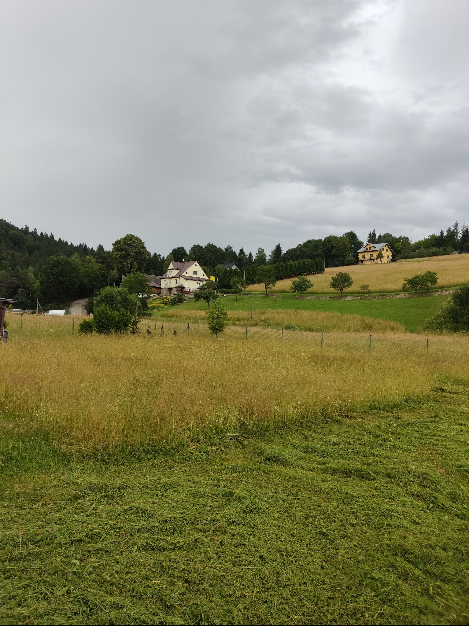 Świeżo skoszona trawa na tle wiejskiego krajobrazu z dwoma domami, drzewami i pochmurnym niebem.