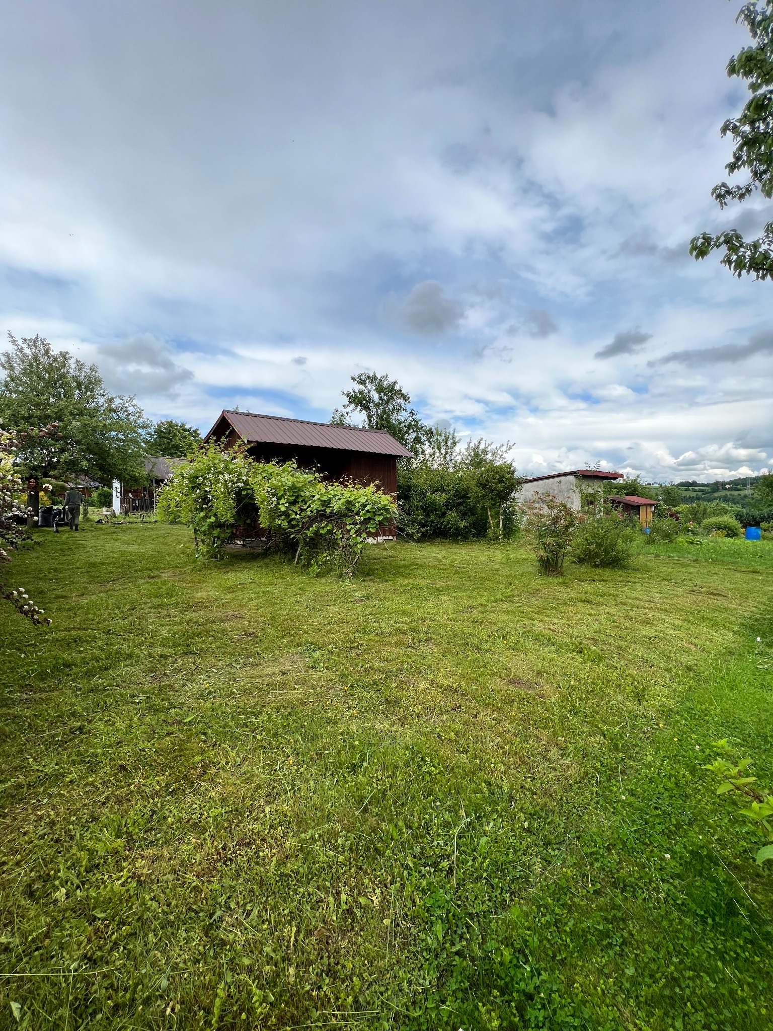 Rozległy trawnik z niską trawą, otoczony budynkami gospodarczymi i drzewami, pod pochmurnym niebem.