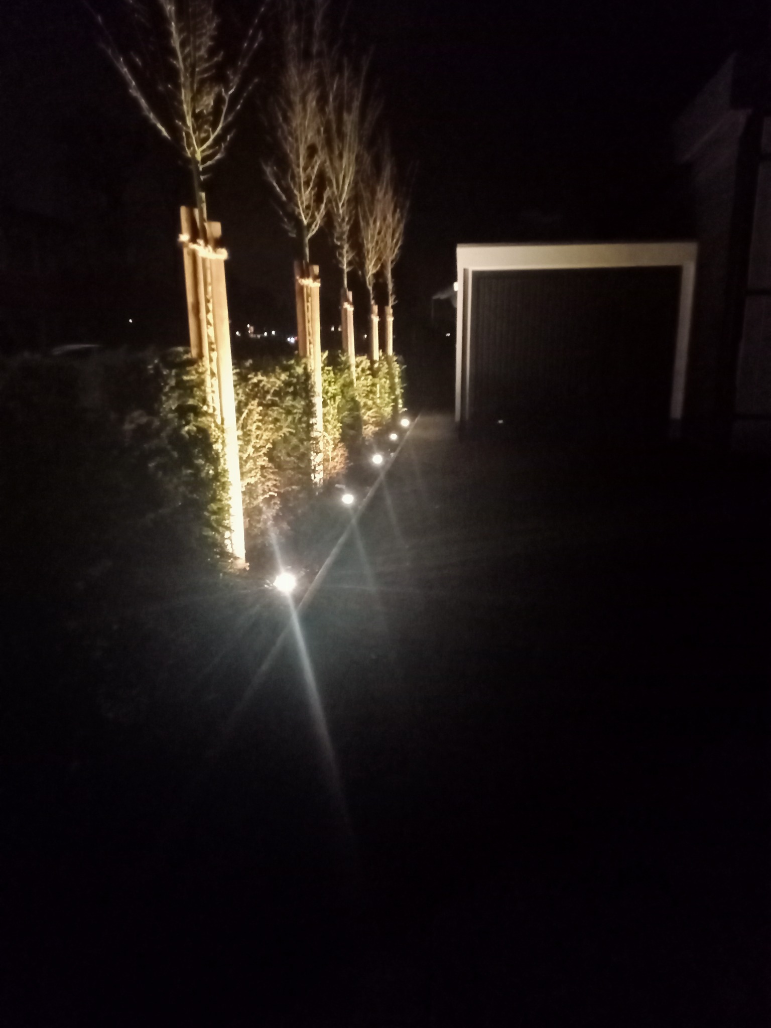 Nocne oświetlenie ścieżki w ogrodzie, lampy punktowe wzdłuż żywopłotu i młodych drzew, garaż w tle.