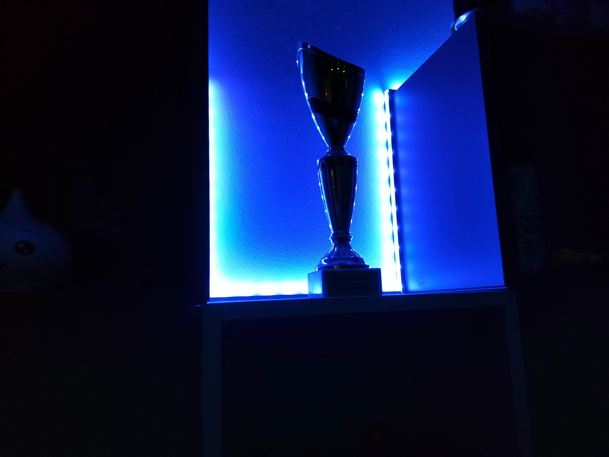 Półka z trofeum oświetlona niebieskim światłem LED, widoczne detale oświetlenia i faktura ściany.