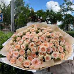Kwiaty Wrocław 47
