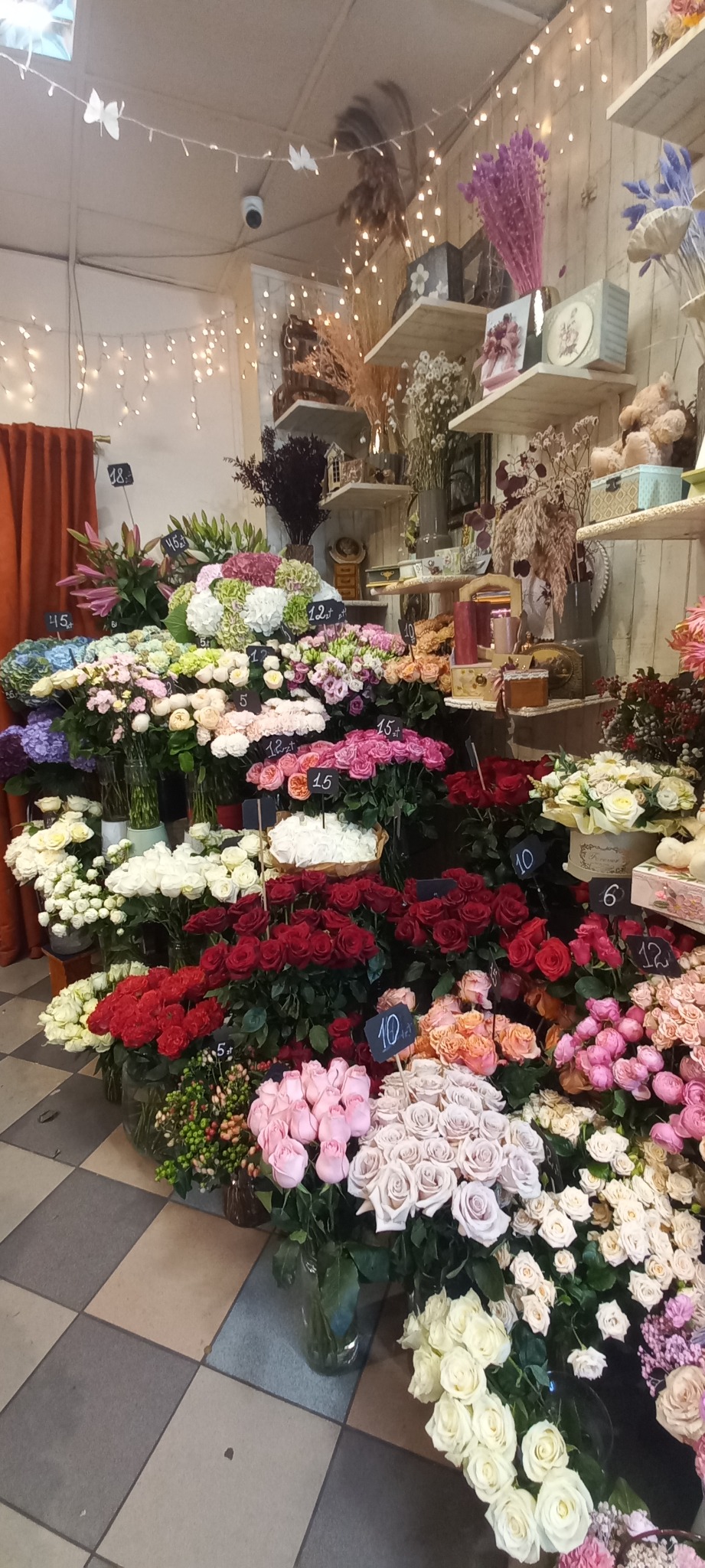 Kwiaty cięty. Duży wybór.