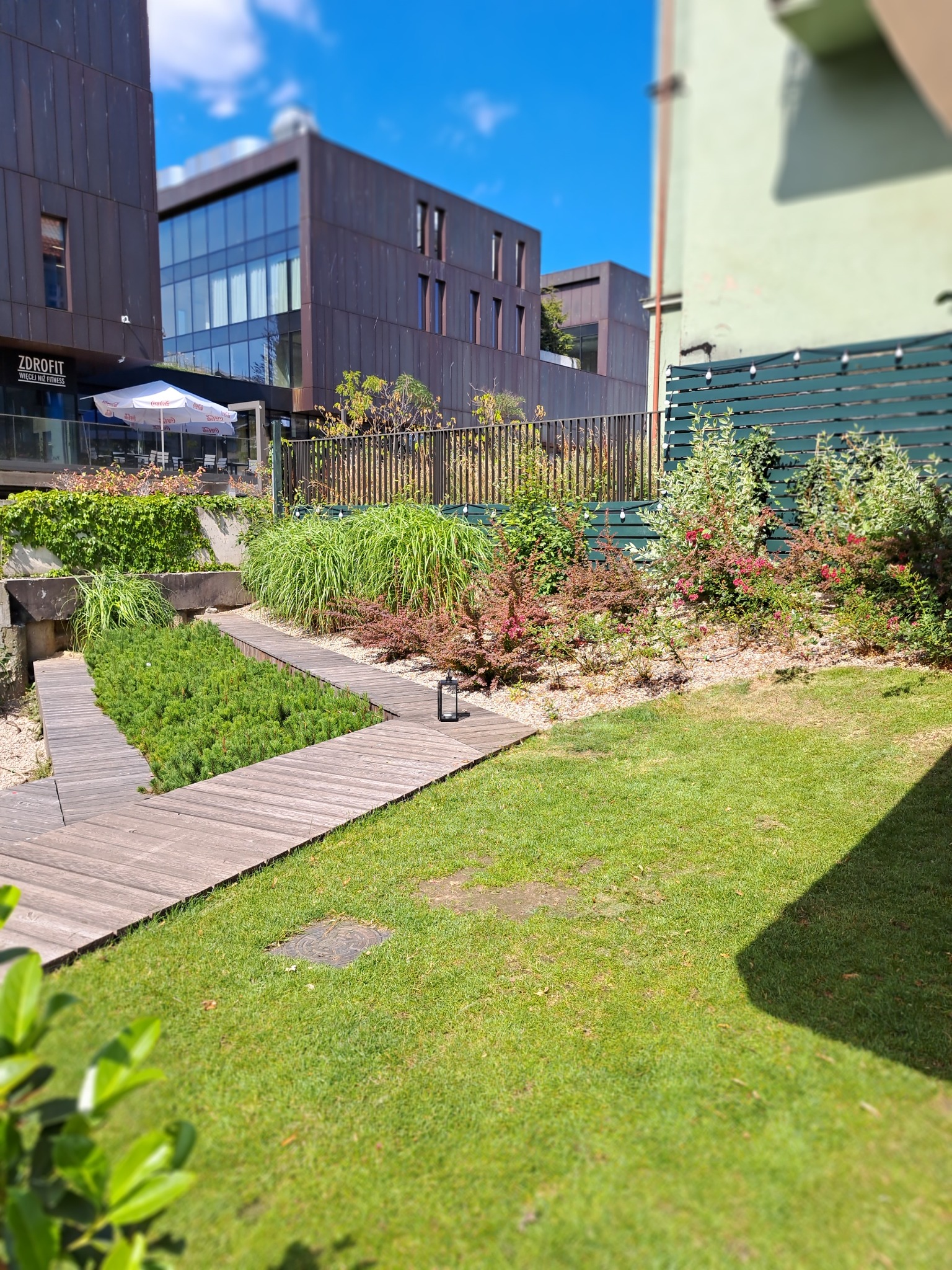 Nowoczesny ogród z drewnianą ścieżką, ozdobnymi roślinami i trawą, na tle budynków o architekturze industrialnej.