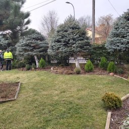 MIESZCZANIE.PL SPÓŁKA Z OGRANICZONĄ ODPOWIEDZIALNOŚCIĄ - Dwaj ogrodnicy w trakcie pracy przy formowaniu iglaków w przydomowym ogrodzie z zielonym trawnikiem i drewnianymi obrzeżami rabat.