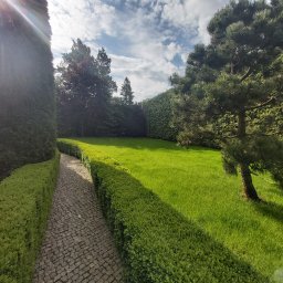 MIESZCZANIE.PL SPÓŁKA Z OGRANICZONĄ ODPOWIEDZIALNOŚCIĄ - Zadbany ogród z równo przystrzyżonym trawnikiem, niskim żywopłotem wzdłuż kamiennej ścieżki i ozdobnym drzewem iglastym na tle wysokiego żywopłotu i błękitnego nieba z chmurami.