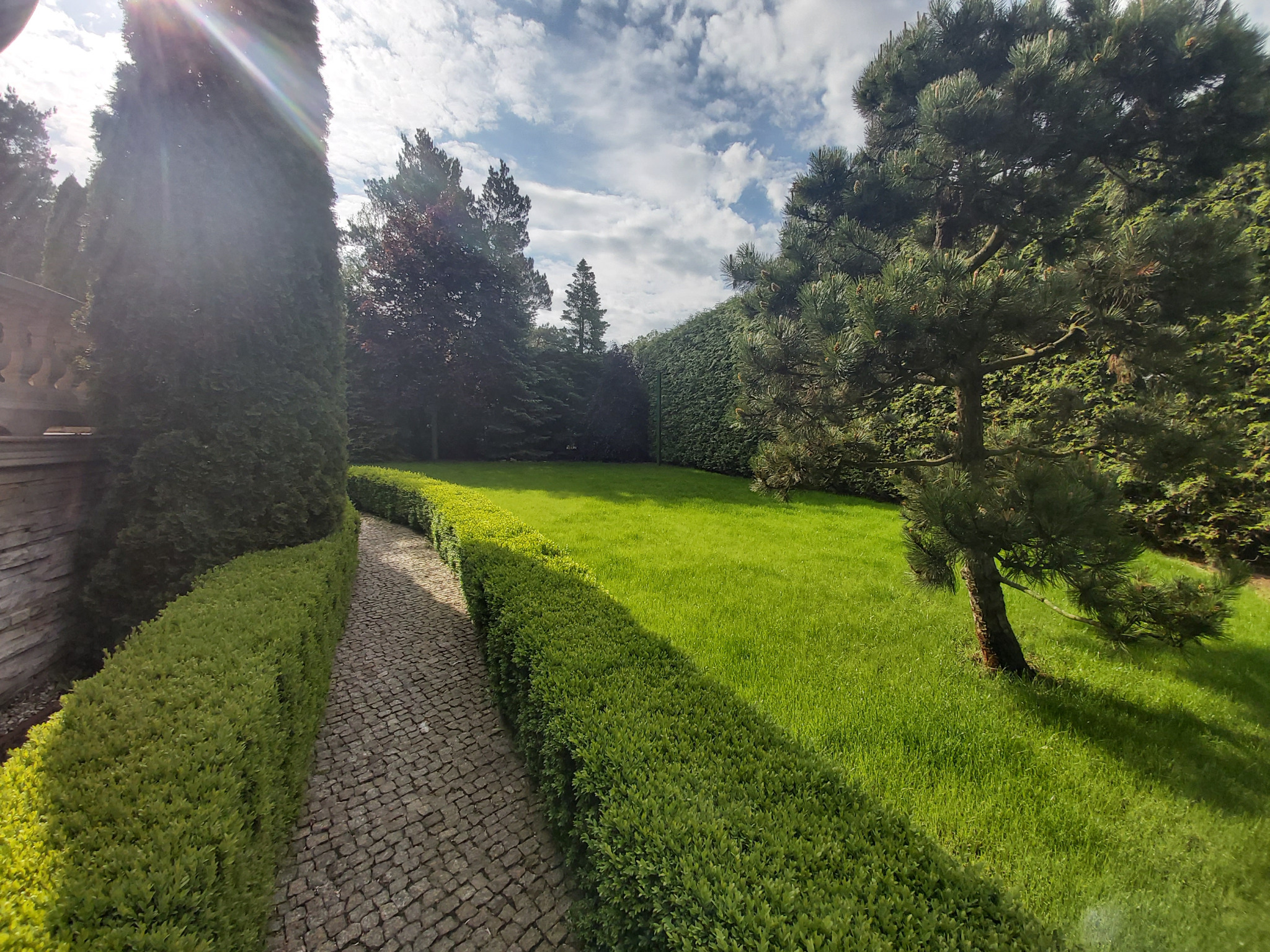 Zadbany ogród z równo przystrzyżonym trawnikiem, niskim żywopłotem wzdłuż kamiennej ścieżki i ozdobnym drzewem iglastym na tle wysokiego żywopłotu i błękitnego nieba z chmurami.