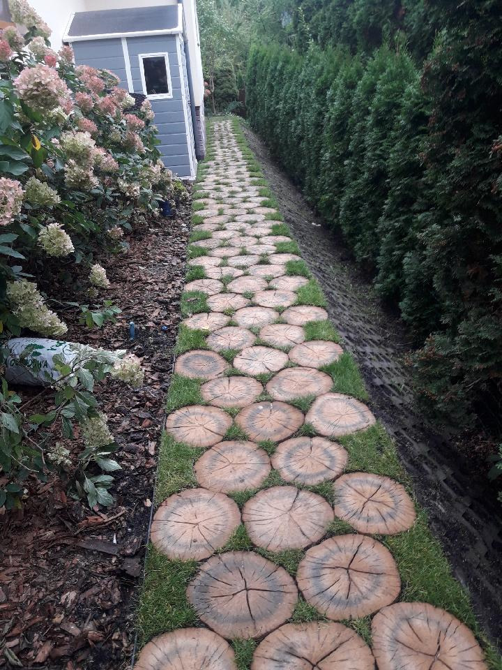 Ścieżka z drewnianych krążków ułożona w trawie, prowadząca wzdłuż żywopłotu i obok kwitnących hortensji, z domkiem narzędziowym w tle.