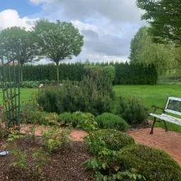 Ogród z ścieżką z czerwonej kostki, ozdobnymi krzewami i młodymi sosnami, w tle żywopłot z tuj i trawnik, po prawej stronie biała, stylizowana ławka ogrodowa.