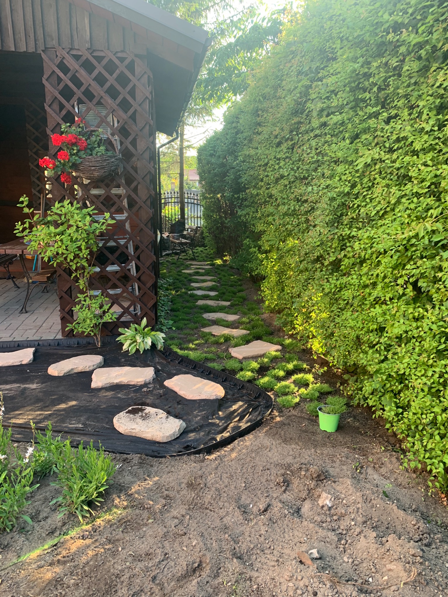 Fragment ogrodu w trakcie tworzenia: ścieżka z kamieni ułożona na trawie, obok drewniana altana z kratownicą i wiszącymi kwiatami, przygotowana ziemia pod nasadzenia.